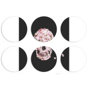 Магнитные фотопазлы круги d55 набор 6 штук 