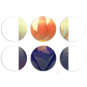 Магнитные фотопазлы круги d55 набор 6 штук 