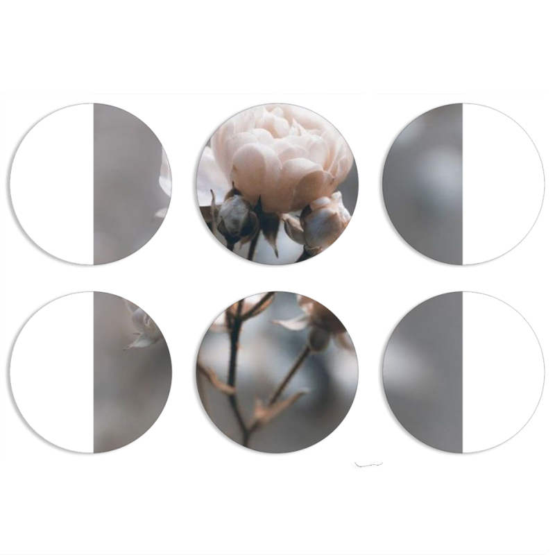 Магнитные фотопазлы круги d55 набор 6 штук 