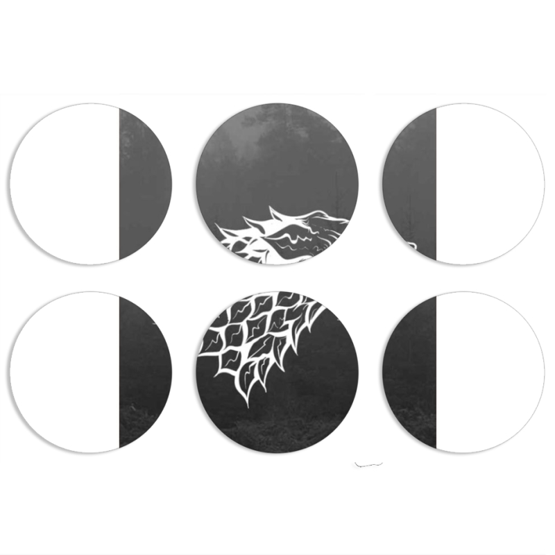 Магнитные фотопазлы круги d55 набор 6 штук 