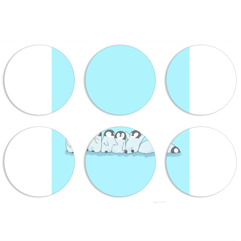 Магнитные фотопазлы круги d55 набор 6 штук 