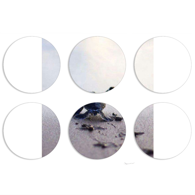 Магнитные фотопазлы круги d55 набор 6 штук 
