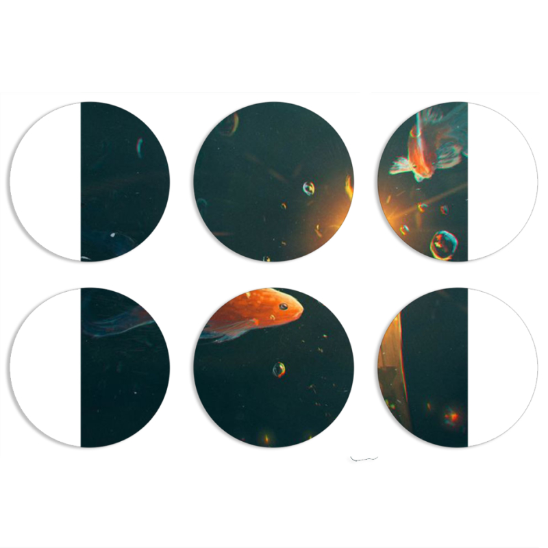 Магнитные фотопазлы круги d55 набор 6 штук 