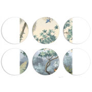 Магнитные фотопазлы круги d55 набор 6 штук 