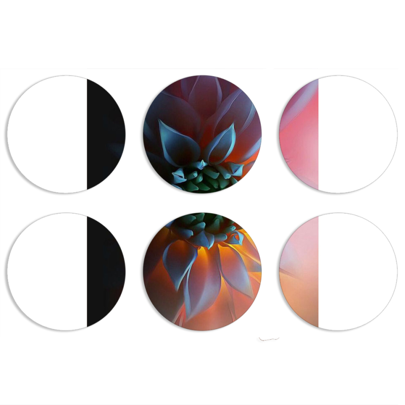 Магнитные фотопазлы круги d55 набор 6 штук 