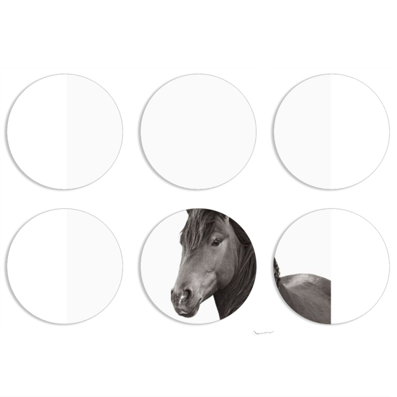 Магнитные фотопазлы круги d55 набор 6 штук 