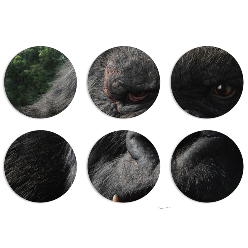 Магнитные фотопазлы круги d55 набор 6 штук Kong