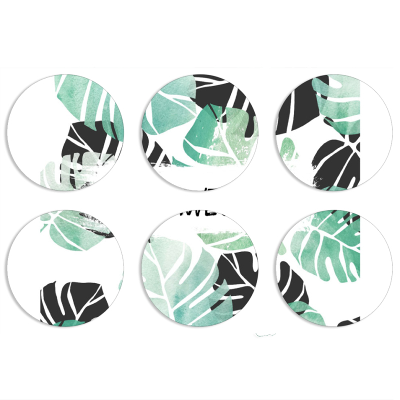 Магнитные фотопазлы круги d55 набор 6 штук 