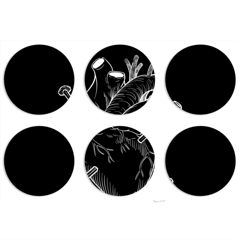 Магнитные фотопазлы круги d55 набор 6 штук 