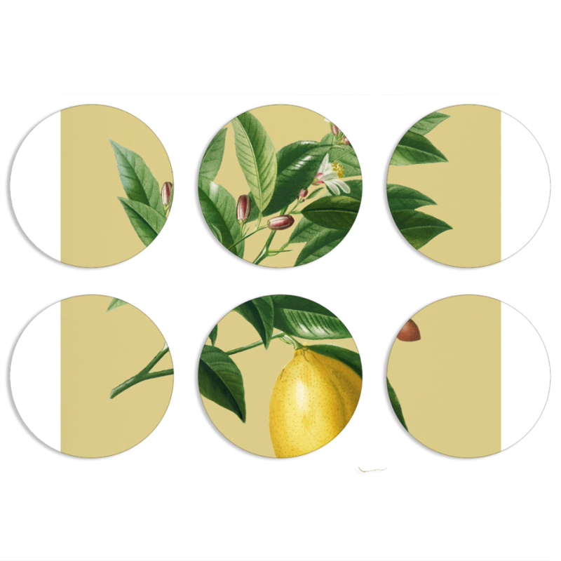 Магнитные фотопазлы круги d55 набор 6 штук 