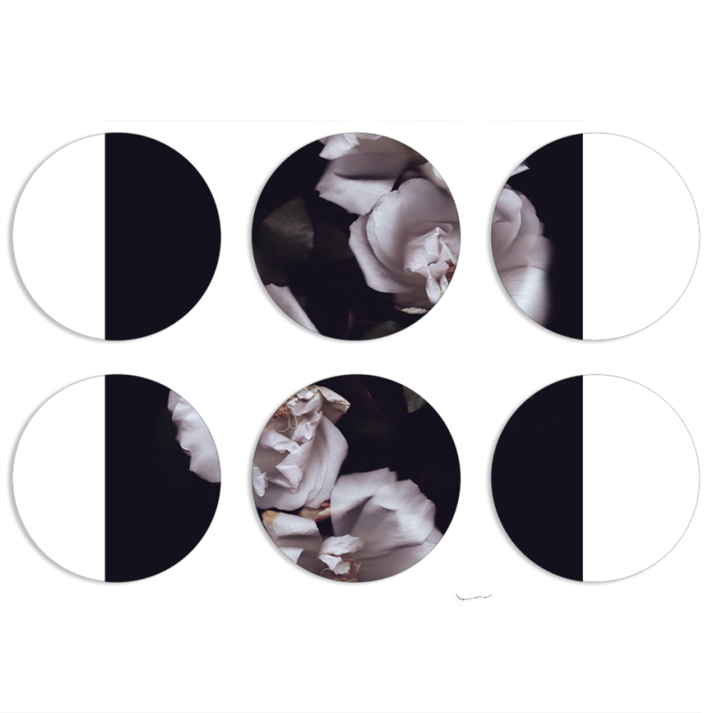 Магнитные фотопазлы круги d55 набор 6 штук 
