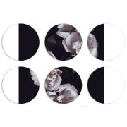 Магнитные фотопазлы круги d55 набор 6 штук 