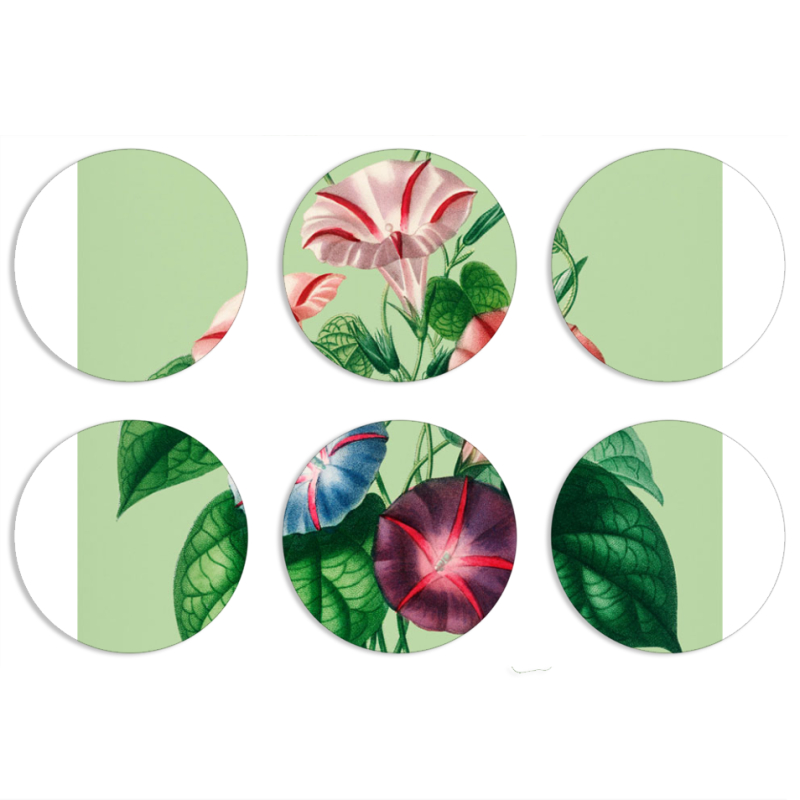 Магнитные фотопазлы круги d55 набор 6 штук 