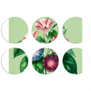 Магнитные фотопазлы круги d55 набор 6 штук 