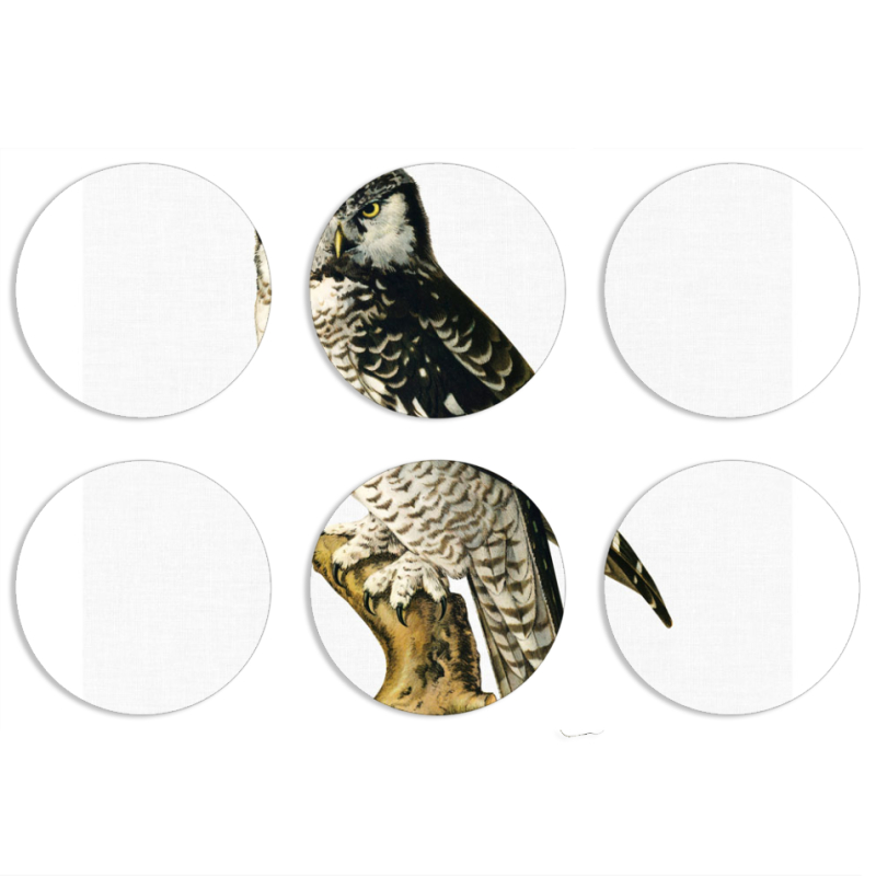 Магнитные фотопазлы круги d55 набор 6 штук 