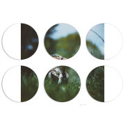 Магнитные фотопазлы круги d55 набор 6 штук 