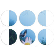 Магнитные фотопазлы круги d55 набор 6 штук 