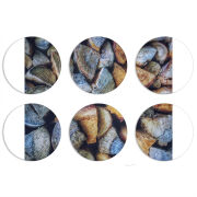 Магнитные фотопазлы круги d55 набор 6 штук 