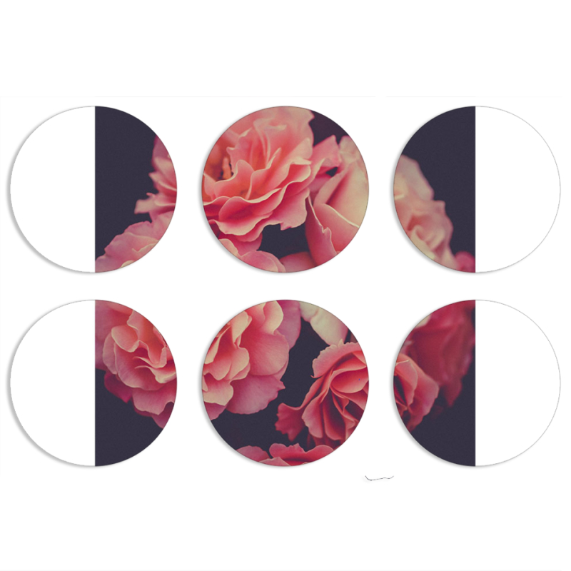 Магнитные фотопазлы круги d55 набор 6 штук 