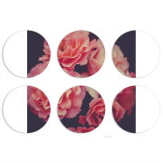 Магнитные фотопазлы круги d55 набор 6 штук 