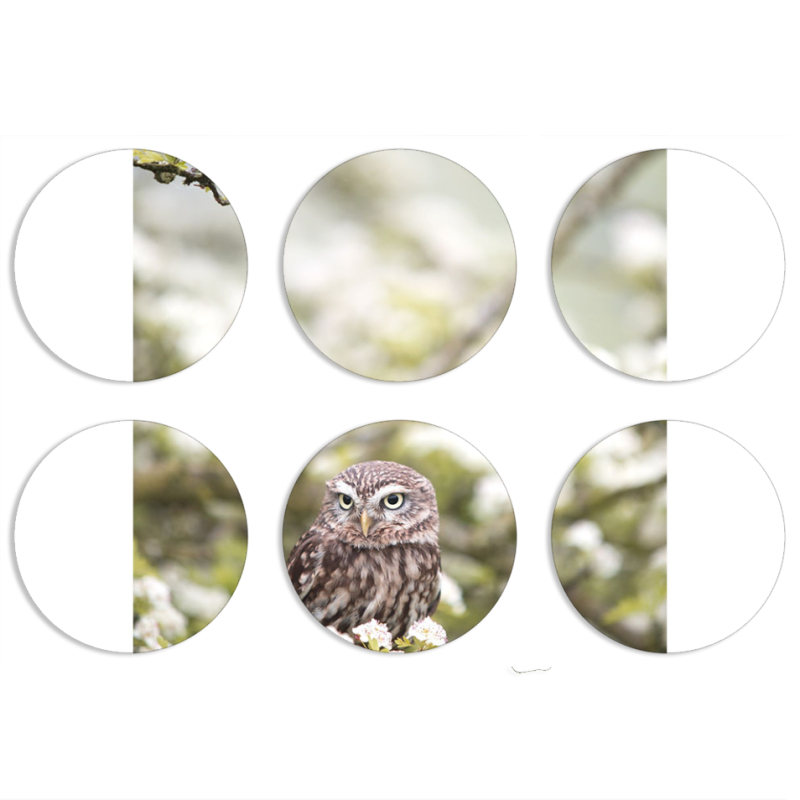 Магнитные фотопазлы круги d55 набор 6 штук 