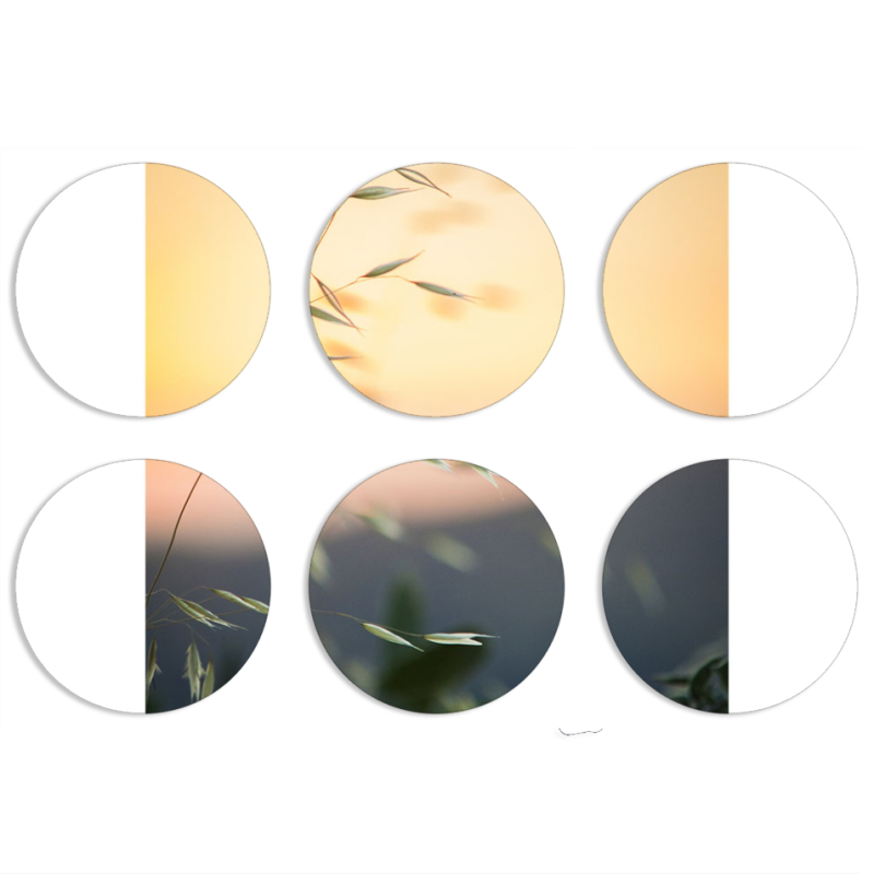 Магнитные фотопазлы круги d55 набор 6 штук 
