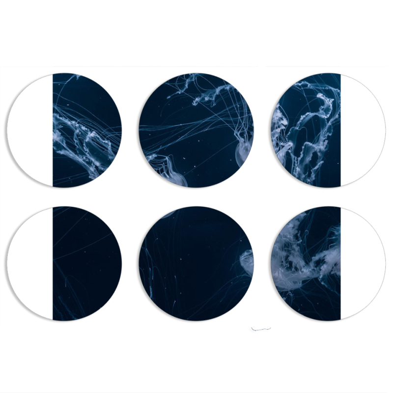 Магнитные фотопазлы круги d55 набор 6 штук 