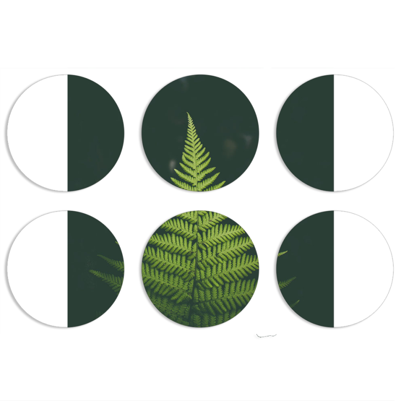 Магнитные фотопазлы круги d55 набор 6 штук 