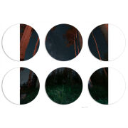 Магнитные фотопазлы круги d55 набор 6 штук 