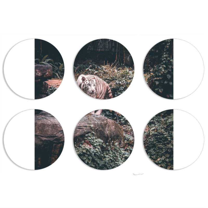 Магнитные фотопазлы круги d55 набор 6 штук 