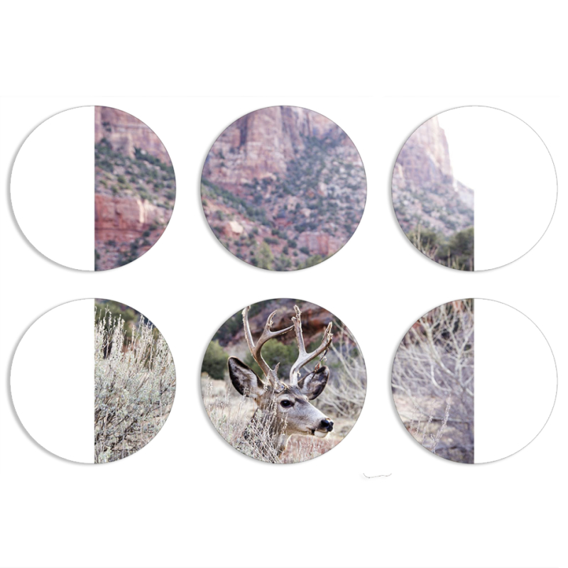 Магнитные фотопазлы круги d55 набор 6 штук 