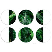 Магнитные фотопазлы круги d55 набор 6 штук 