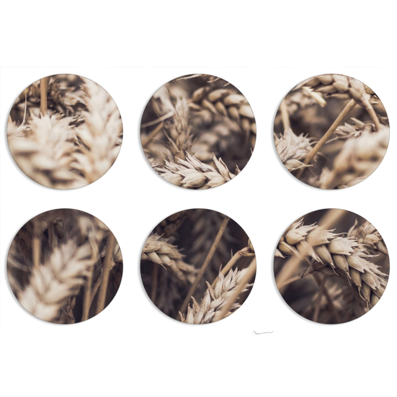 Магнитные фотопазлы круги d55 набор 6 штук 