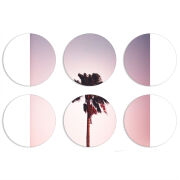 Магнитные фотопазлы круги d55 набор 6 штук 