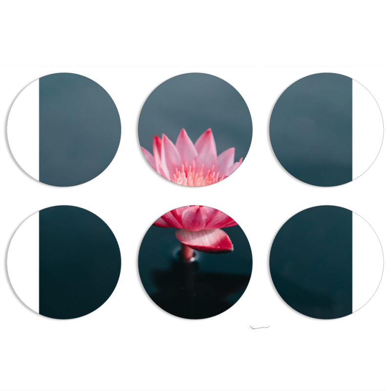 Магнитные фотопазлы круги d55 набор 6 штук 