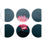 Магнитные фотопазлы круги d55 набор 6 штук 