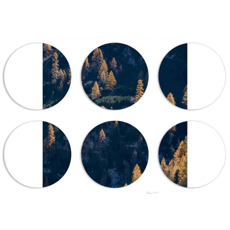 Магнитные фотопазлы круги d55 набор 6 штук 