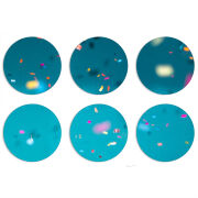 Магнитные фотопазлы круги d55 набор 6 штук 