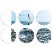 Магнитные фотопазлы круги d55 набор 6 штук 