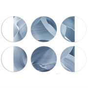 Магнитные фотопазлы круги d55 набор 6 штук 