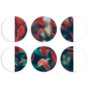 Магнитные фотопазлы круги d55 набор 6 штук 