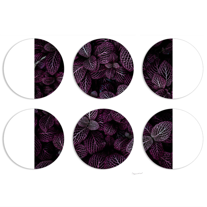 Магнитные фотопазлы круги d55 набор 6 штук 