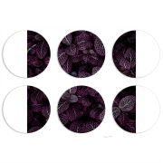 Магнитные фотопазлы круги d55 набор 6 штук 
