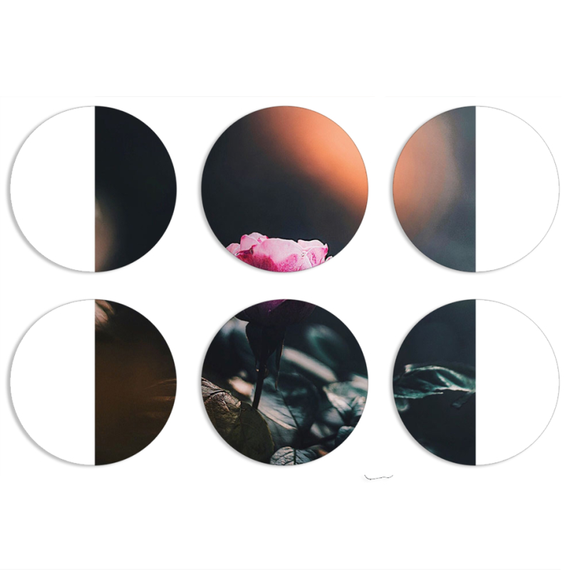 Магнитные фотопазлы круги d55 набор 6 штук 