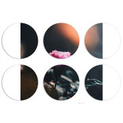 Магнитные фотопазлы круги d55 набор 6 штук 