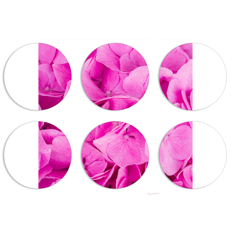 Магнитные фотопазлы круги d55 набор 6 штук Pink Flowers