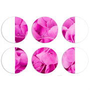 Магнитные фотопазлы круги d55 набор 6 штук Pink Flowers