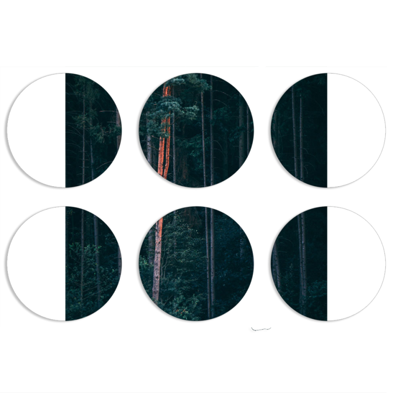 Магнитные фотопазлы круги d55 набор 6 штук 