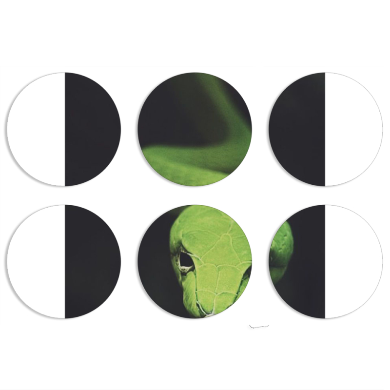 Магнитные фотопазлы круги d55 набор 6 штук 