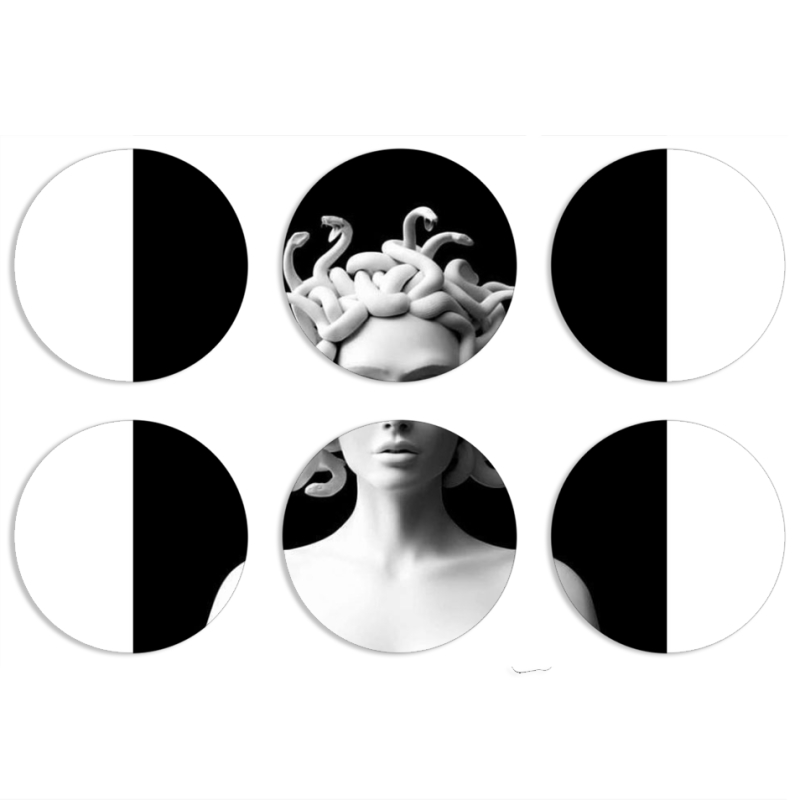 Магнитные фотопазлы круги d55 набор 6 штук 